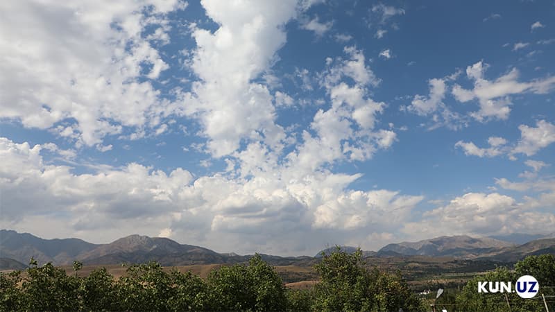 Climatologist: Lack of oxygen was observed in the air of Tashkent