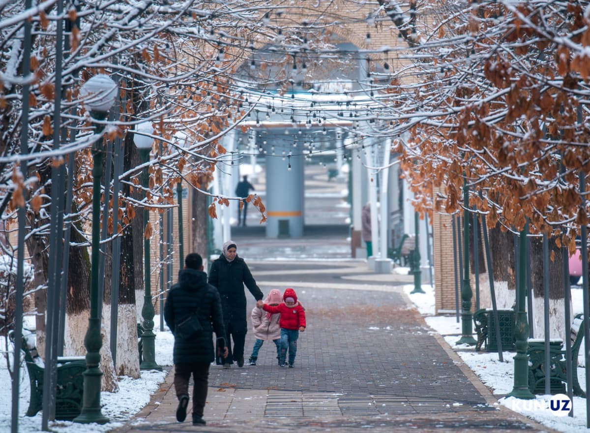 Foto: Qorli Toshkent manzaralari