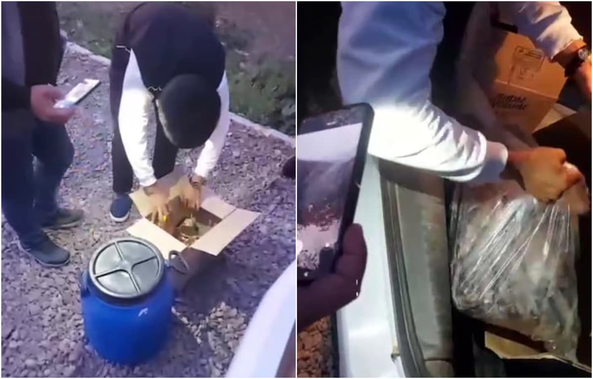 В Ташкентской области заведующую застали при выносе продуктов из детского сада