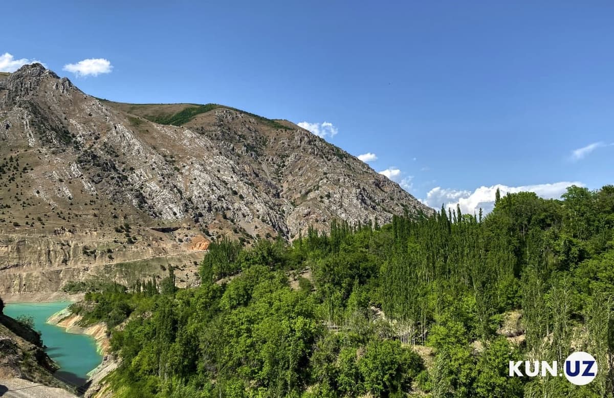 Uzbekistan and China forge cooperation in environmental protection