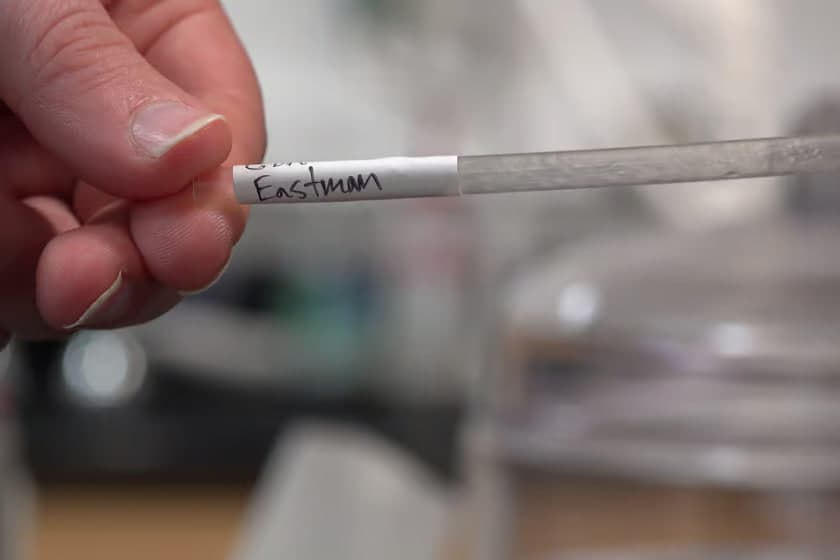 Olimlar bioplastik okeanda qog‘ozdan ham tezroq parchalanishini aniqladi