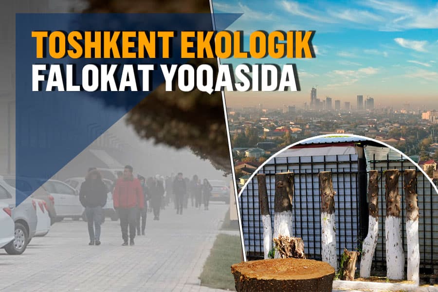 Toshkent saraton va astma o‘chog‘iga aylanmoqda. Ekologik vaziyat o‘nglanadimi?