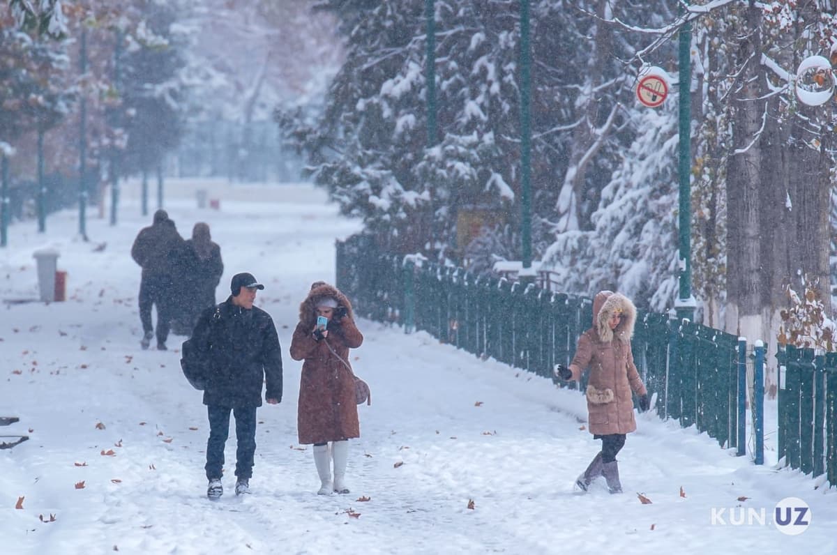 Uzbekistan ranks 56th in Global Gender Data Availability