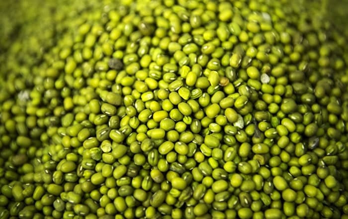 China dominates as main market for Uzbekistan's mung bean exports in 2024
