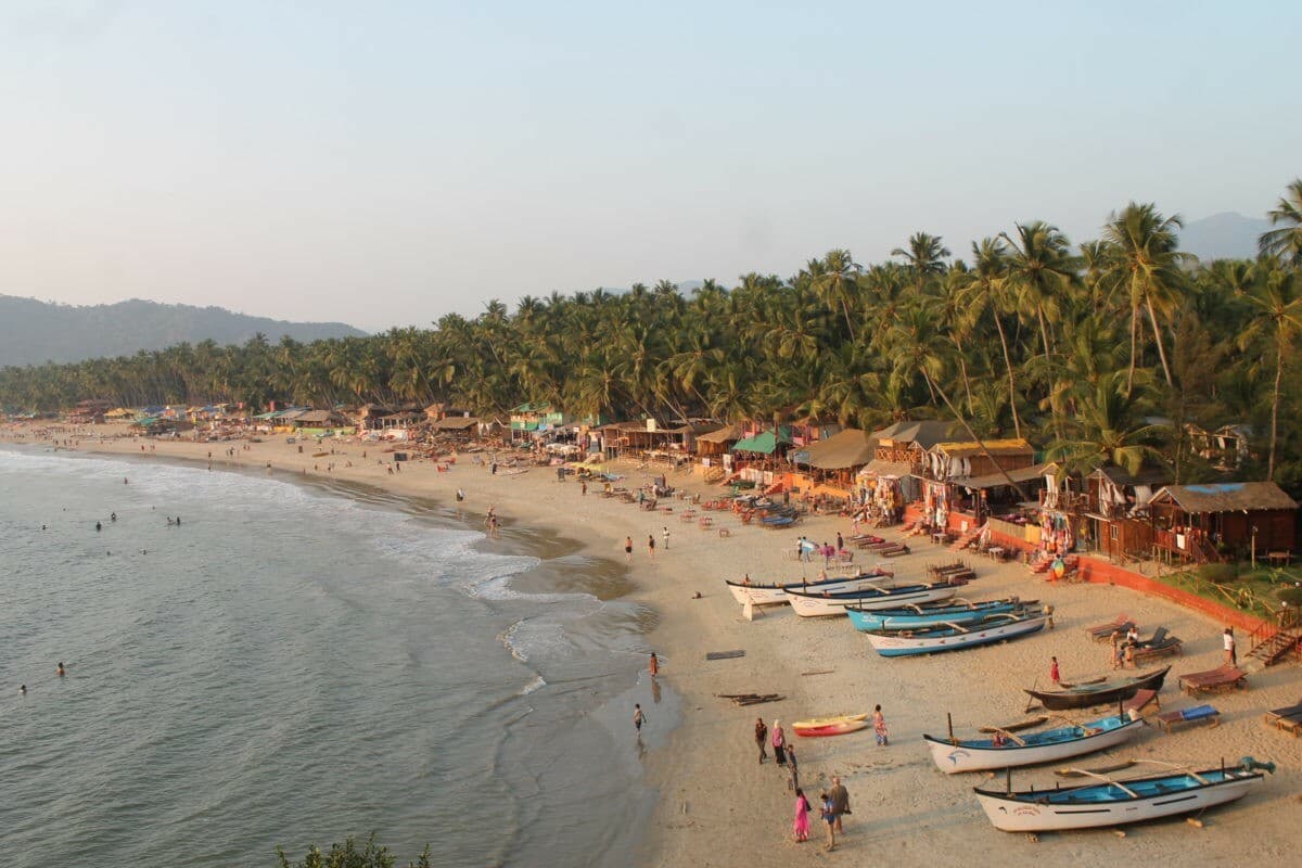 Uzbekistan Airways launches direct flights from Tashkent to Goa