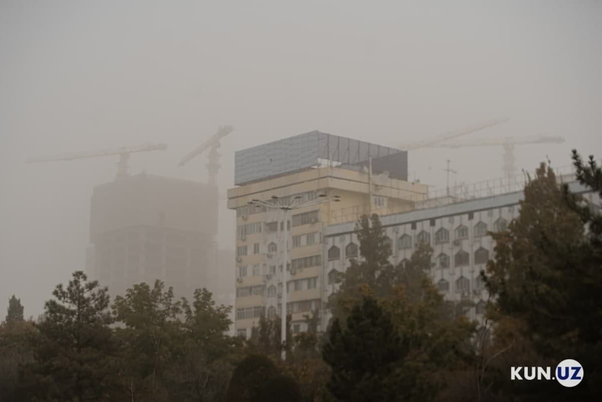 Tashkent grapples with high pollution: urgent measures needed