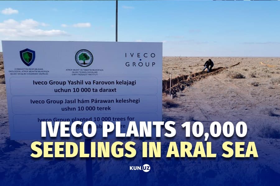 IVECO planted 10,000 seedlings to address the desertification of the Aral Sea in Uzbekistan