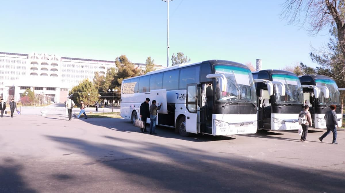 Additional buses arranged for students in Tashkent traveling to Bukhara, Karshi and Termez (photo)