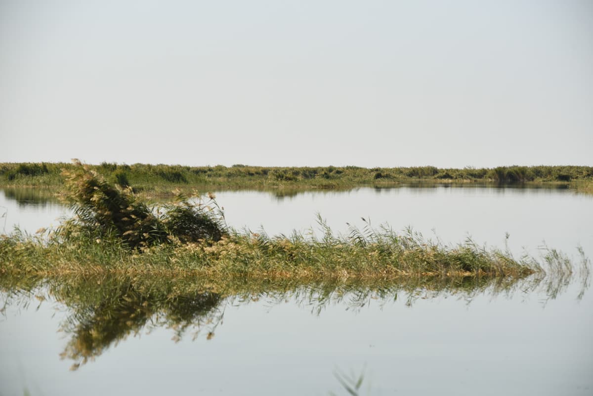 O‘zbekistondagi Jiltirbas ko‘li Ramsar suv-botqoq yerlari ro‘yxatiga kiritildi