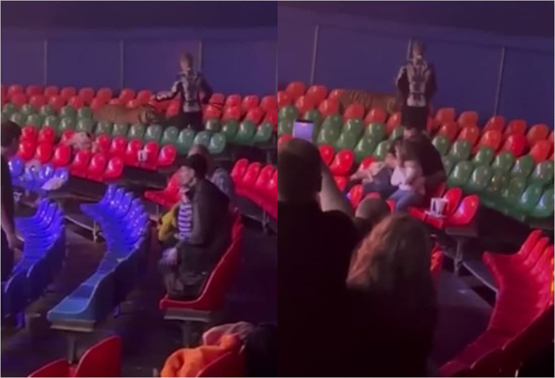 Rostovda sirk tomoshasi paytida yo‘lbars tomoshabinlar orasiga kirib oldi