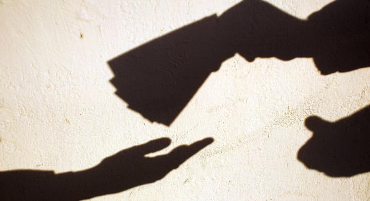 Germaniyada “soya iqtisodiyoti” hajmi 2014 yildan beri eng yuqori darajaga yetdi