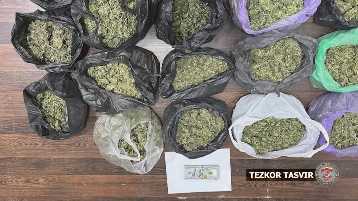 5 kg marixuanani 10 ming dollarga sotayotgan shaxs ushlandi