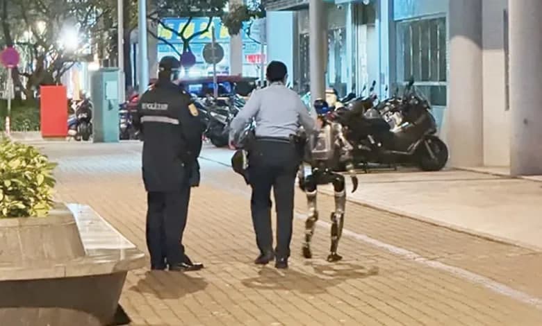 Xitoyda politsiya keksa ayolni cho‘chitib yuborgan robotni “qo‘lga oldi”