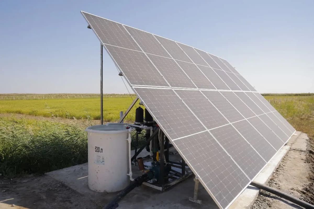 Uzbekistan to scale up water-saving rice farming with drip irrigation