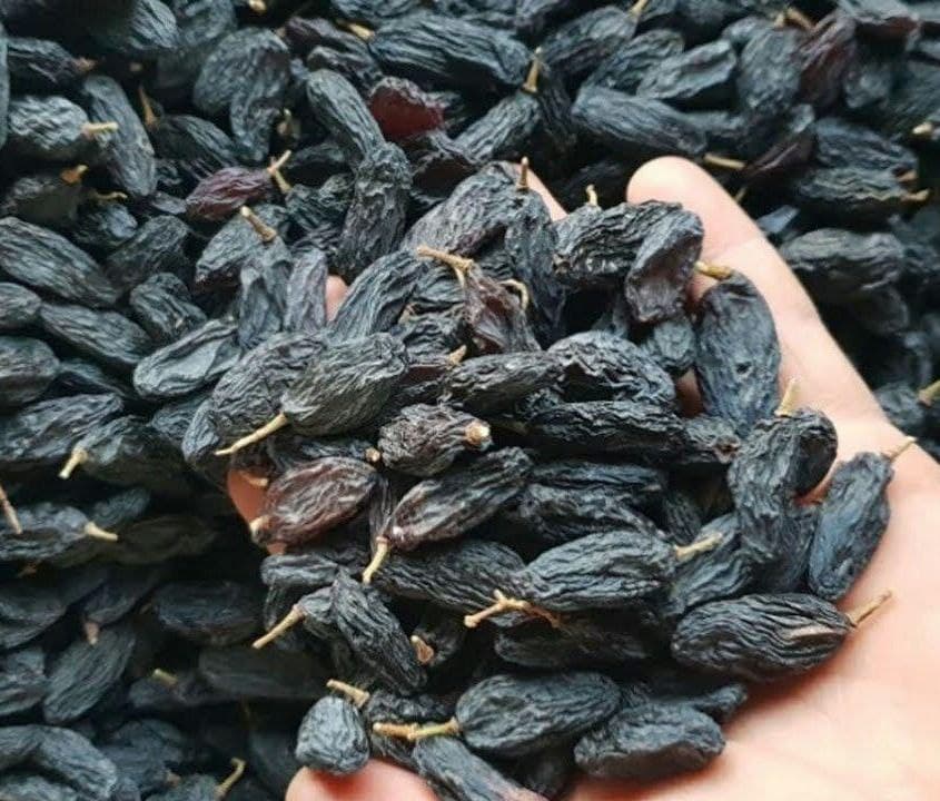 Samarqandda mayiz yetishtirish va eksport bo‘yicha yirik loyiha boshlanmoqda