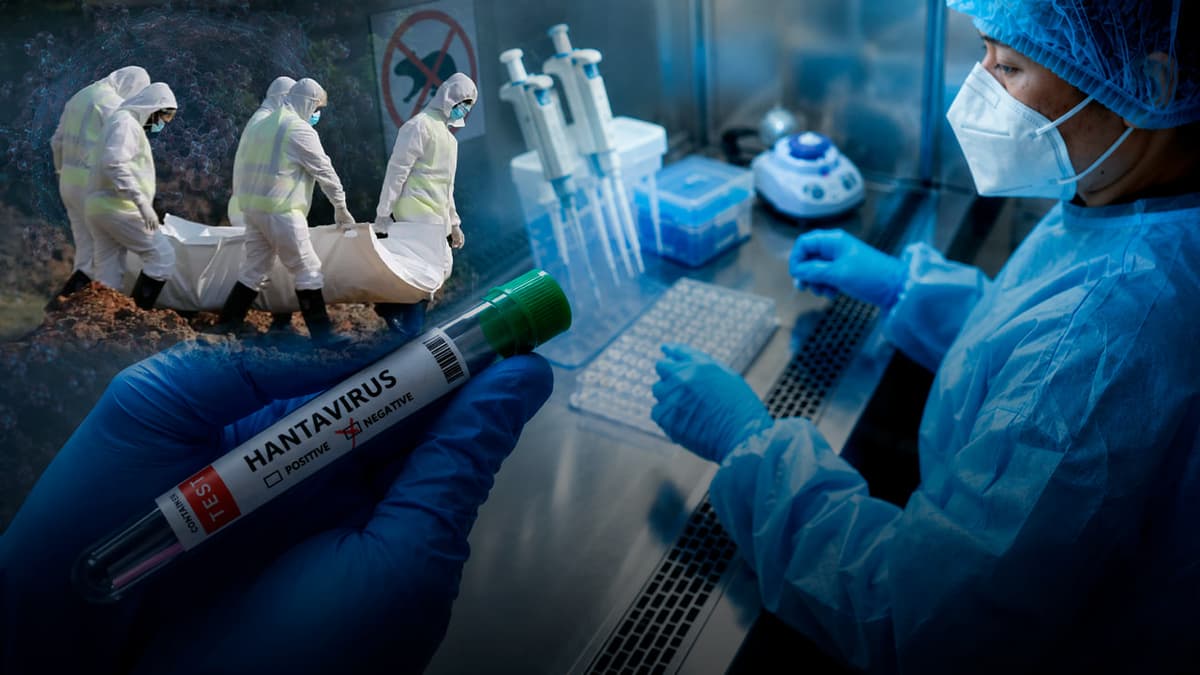 “Hayvondan yuqadi, tashqi muhitga chidamsiz” - hantavirus O‘zbekistonga qanchalik xavf soladi?