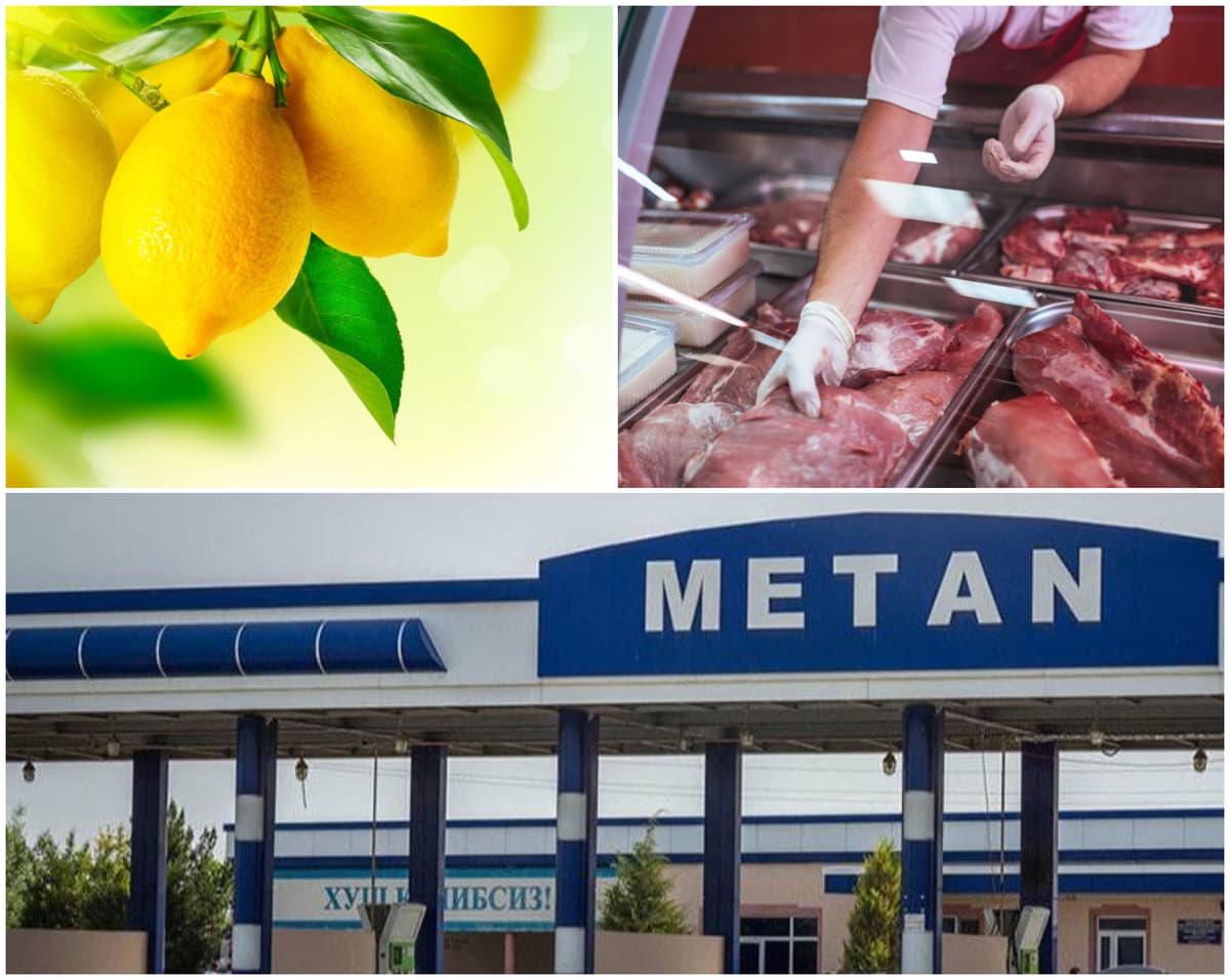 Limon, go‘sht, metan. Yillik hisobda eng ko‘p qimmatlashgan mahsulotlar va xizmatlar