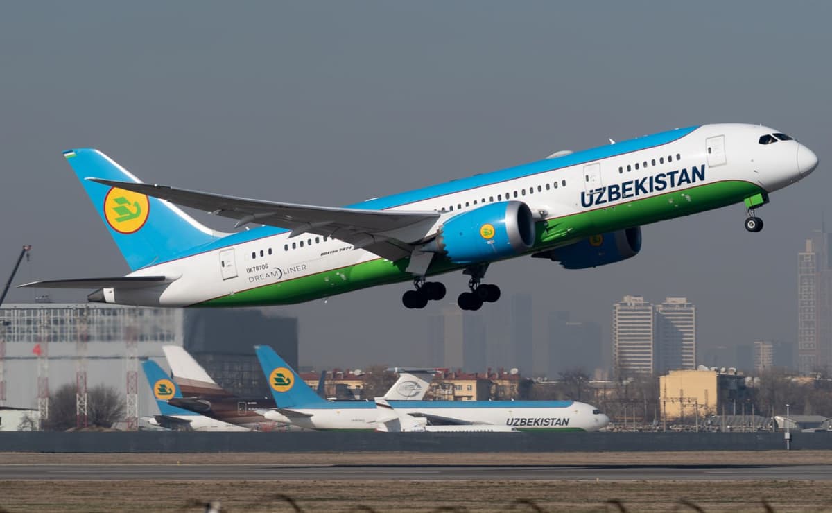 Телетрап повредил самолет Uzbekistan Airways во Внуково