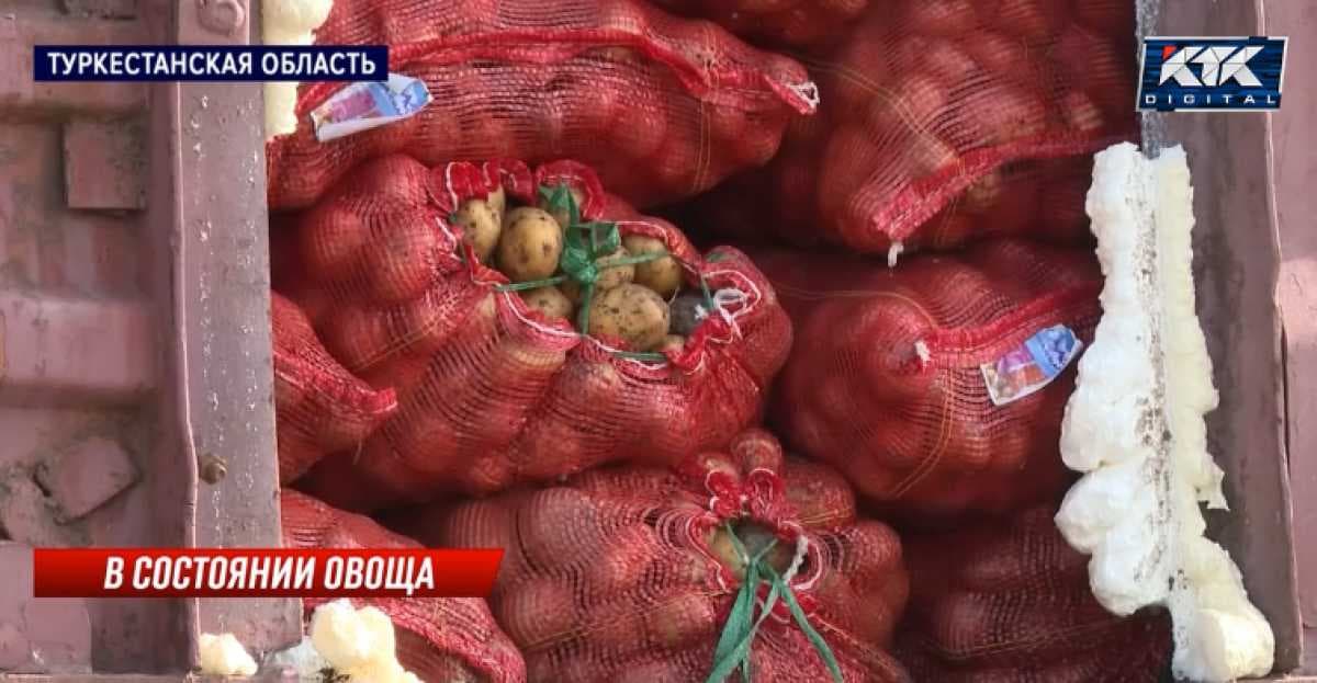 Тысячи тонн картофеля сгнили на границе, не добравшись в Узбекистан