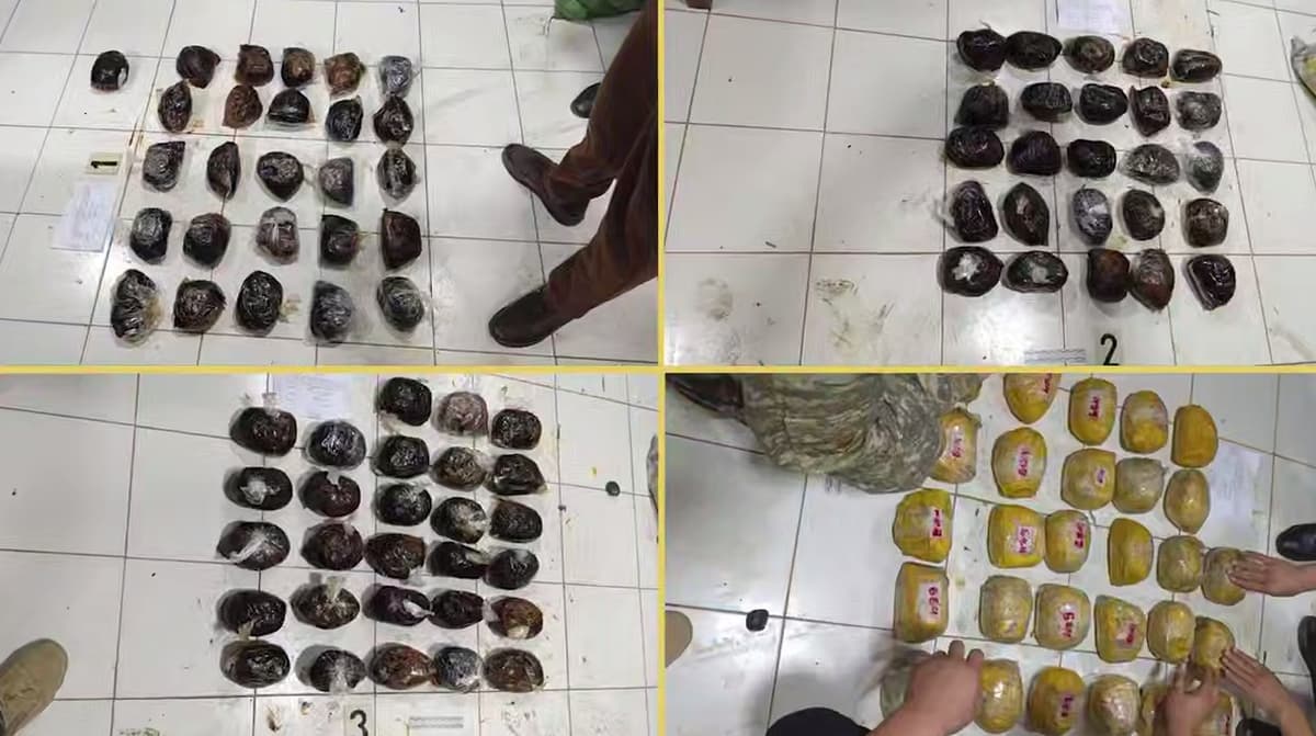 Qo‘qon va Farg‘onada “opiy” va “gashish”ning katta partiyalari musodara qilindi