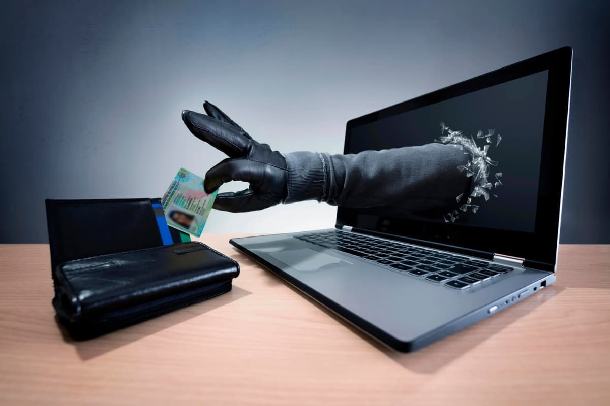 What is Freeze and how to activate it in Uzbekistan
