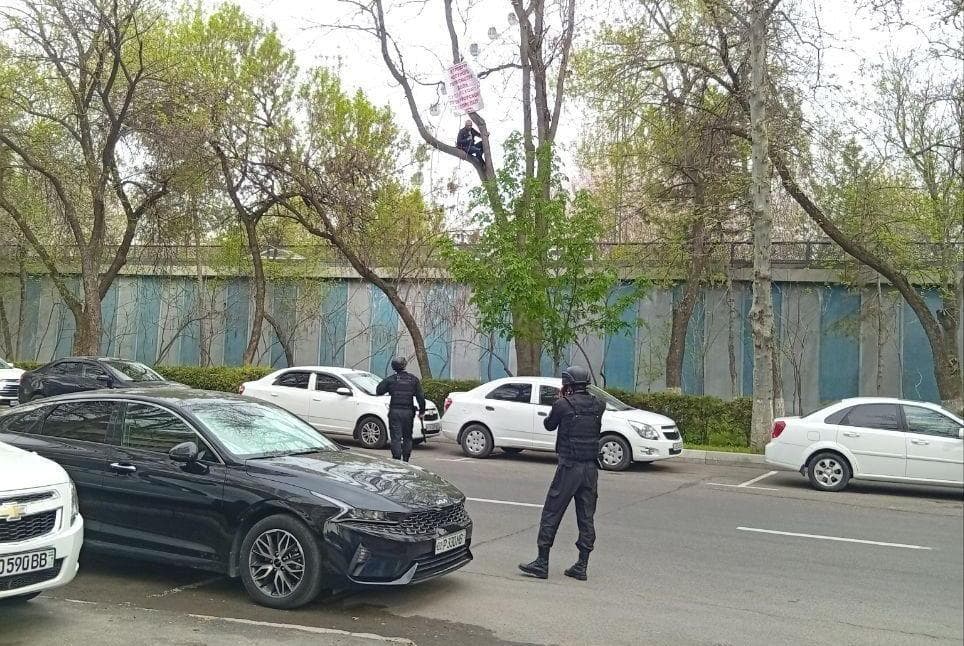Sudlardan norozi erkak Oliy sud qarshisidagi daraxtga chiqib oldi