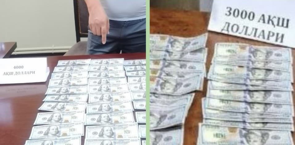 В Узбекистане провели задержания мошенников, обещавших поступление в вуз