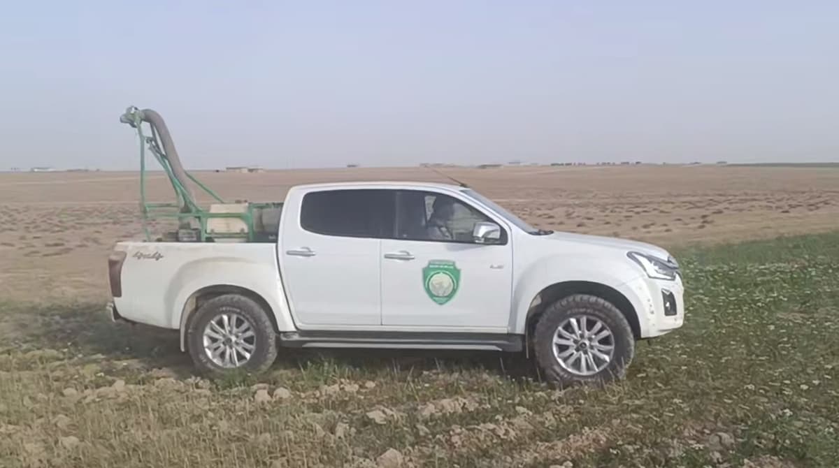 Nurobodda qariyb 17 ming gektar maydonda zararli chigirtkalar tarqalgani aniqlandi