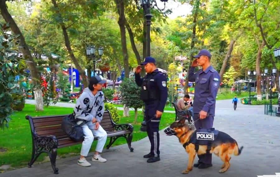 Katta shaharlardagi jamoat joylarida xizmat itlari patrullik qila boshladi
