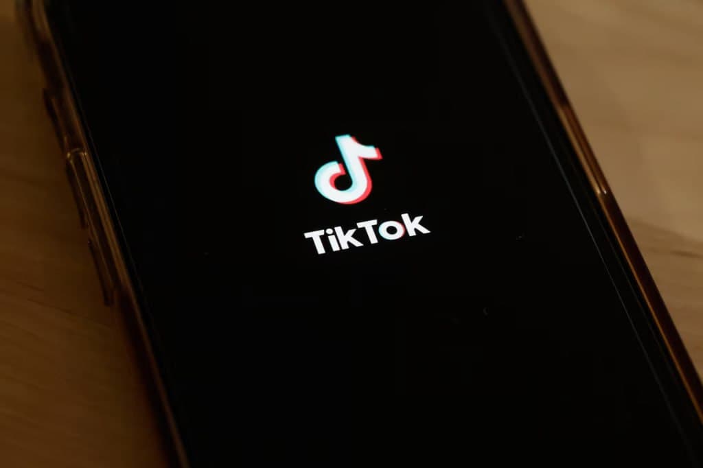 Banned but paying taxes – TikTok listed among Uzbekistan’s major e-service taxpayers