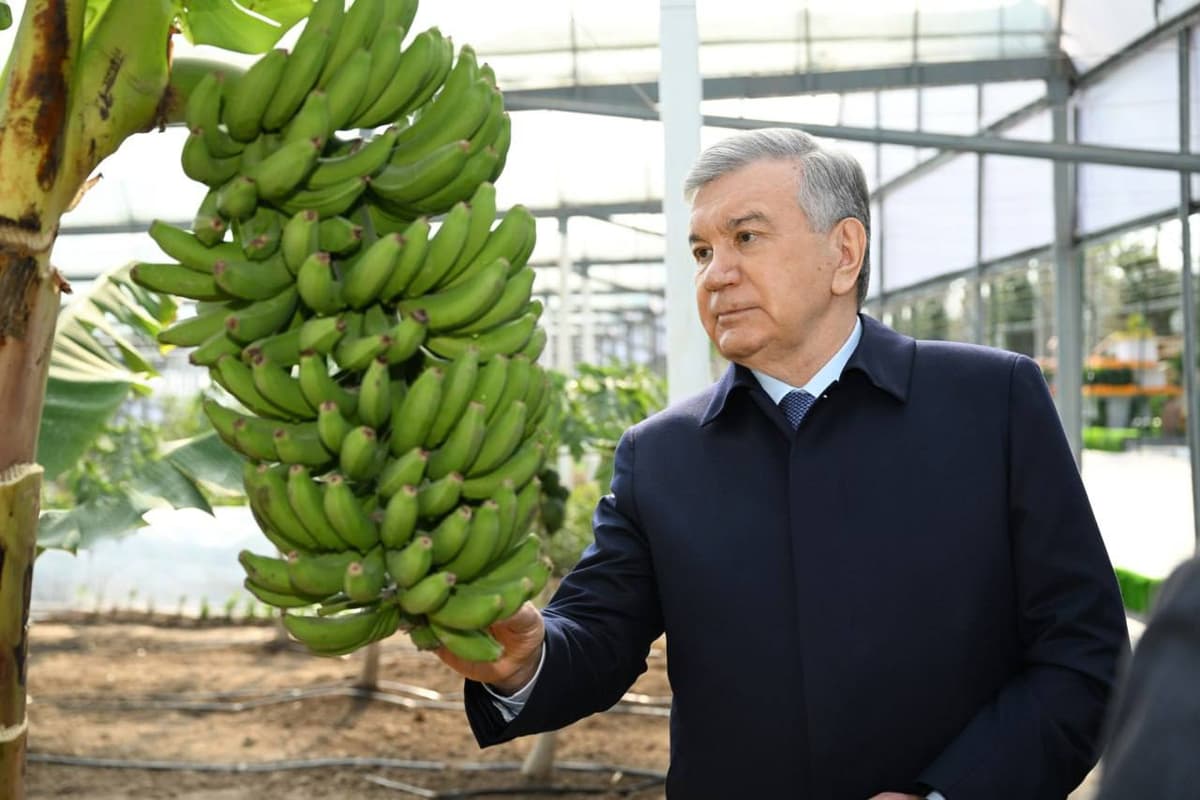 Prezident Termiz tumanidagi “Tomorqa maktabi” faoliyati bilan tanishdi