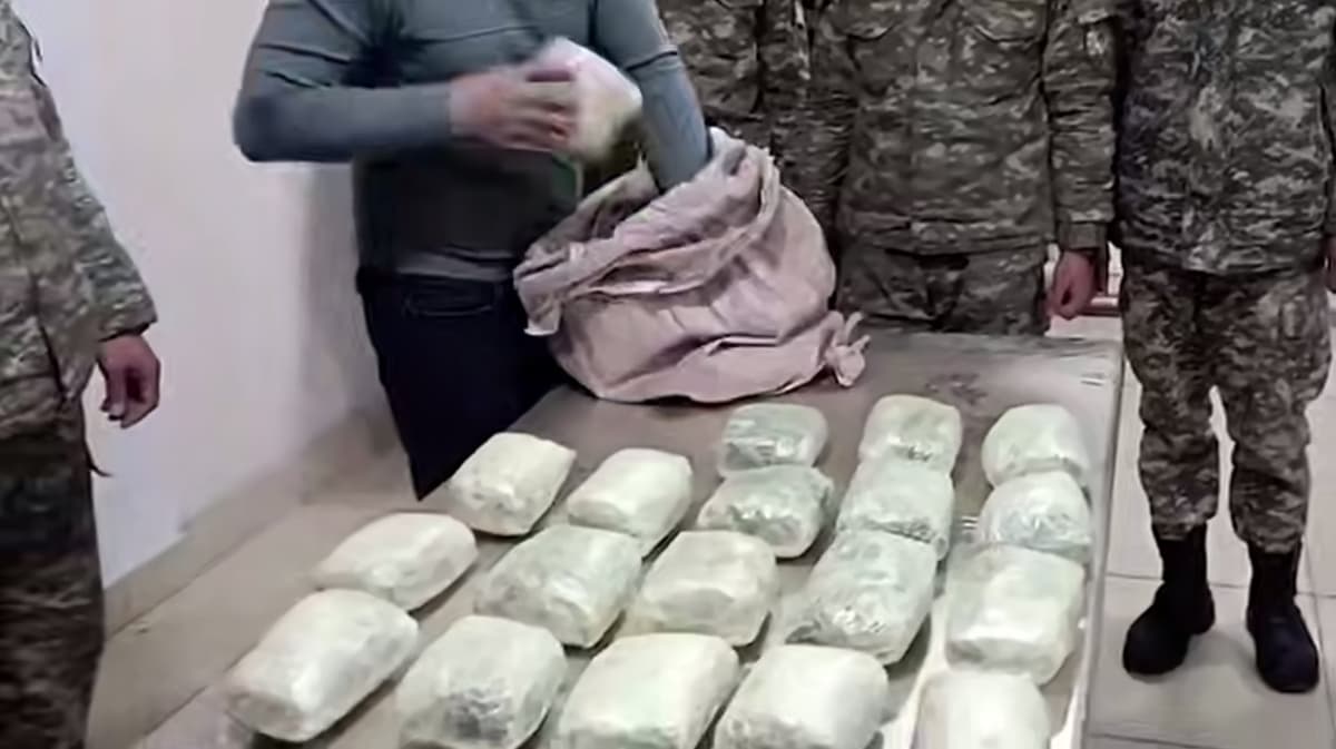 Samarqand va Surxondaryoda yirik miqdordagi giyohvandlik vositalari olib kirishga urinish to‘xtatildi