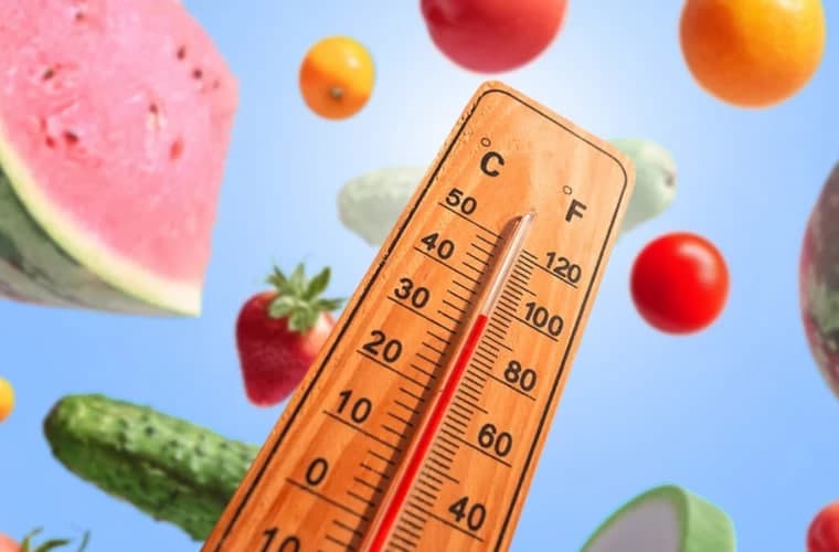 Jaziramada qanday taomlarni iste’mol qilmaslik kerak? – SVV tavsiyalari