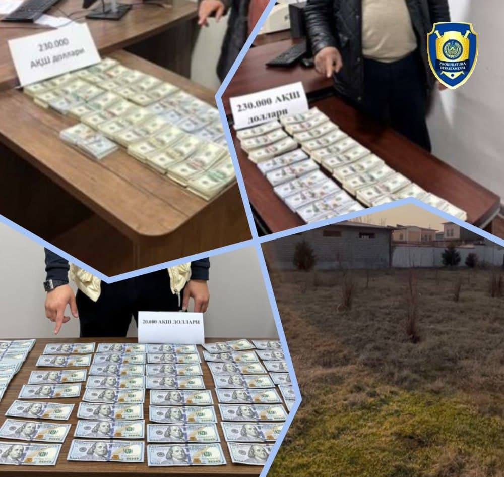 Bo‘stonliqda 20 sotix yerni 230 ming dollarga sotishga uringan shaxslar ushlandi