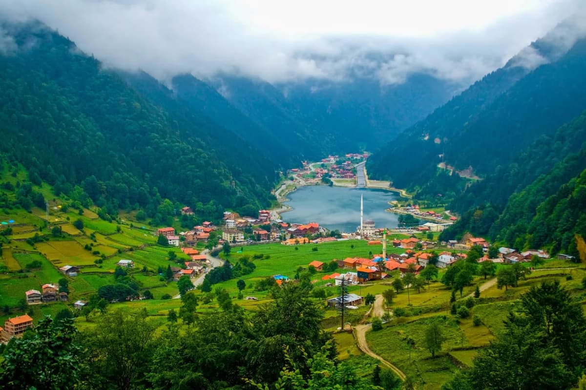 Trabzon va Toshkent o‘rtasida doimiy aviareyslar yo‘lga qo‘yilishi mumkin