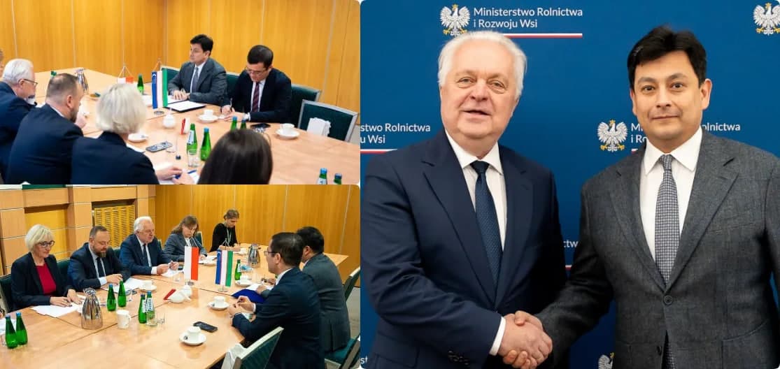 Polsha investorlari O‘zbekiston qishloq xo‘jaligi sektoriga kirib kelmoqda
