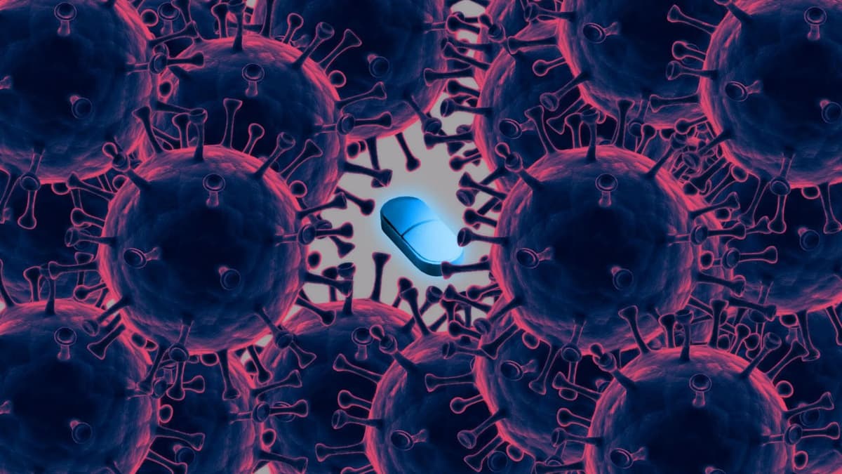Bakteriyalarning antibiotikka chidamliligi keskin ortmoqda – JSST
