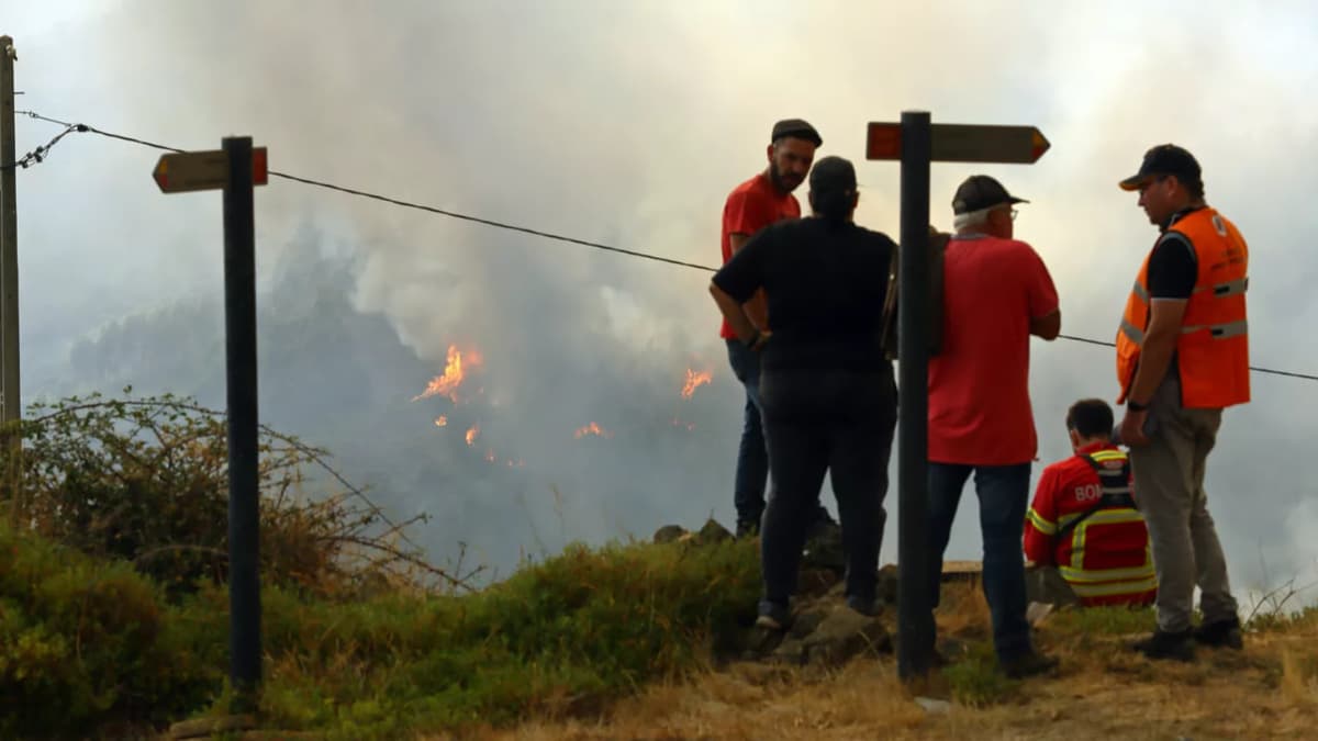 В Португалии объявили ЧП из-за экстремальной жары
