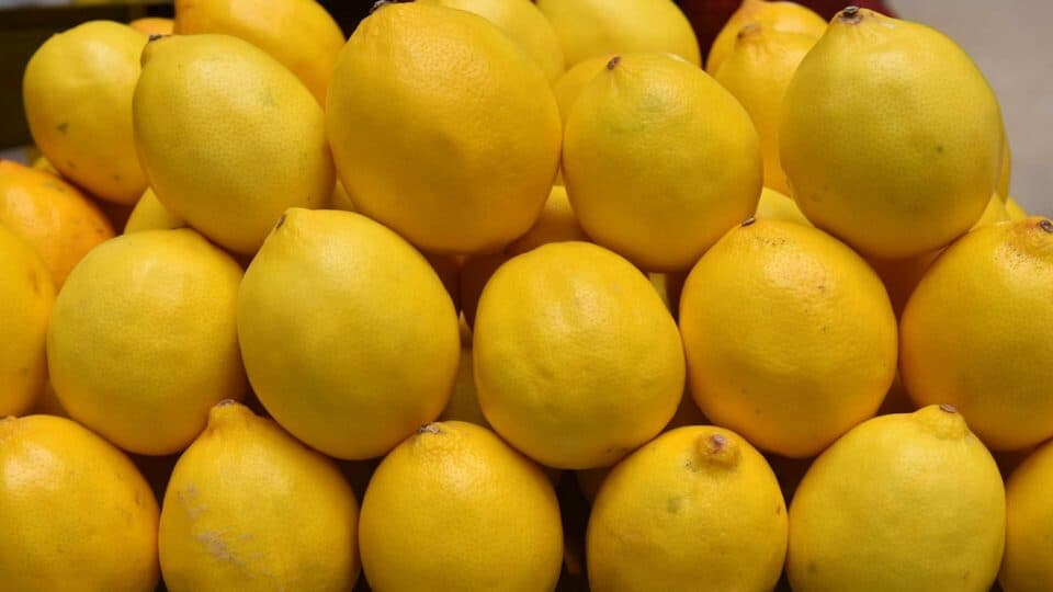 Lemon prices in Uzbekistan triple amid global supply challenges