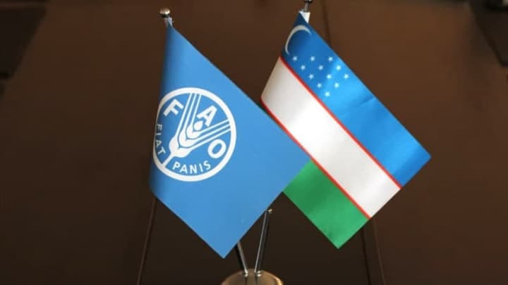 O‘zbekiston BMT Oziq-ovqat va qishloq xo‘jaligi tashkiloti kengashiga saylandi