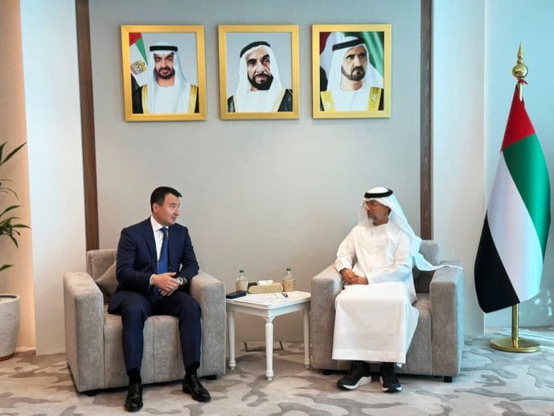 Uzbekistan, UAE discuss $5 billion energy portfolio and new water projects