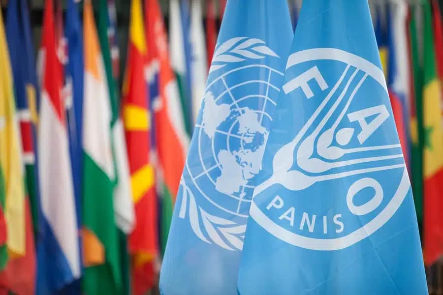 Uzbekistan joins FAO Council for 2028–2029, gains voice in global food security