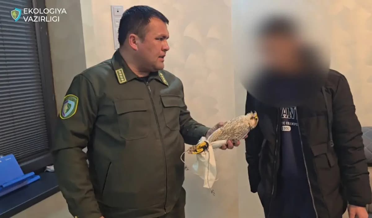 Farg‘onada Qizil kitobga kiritilgan qushni noqonuniy saqlab kelgan fuqaro ushlandi