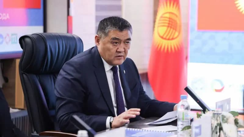 Камчыбеку Ташиеву предъявлены обвинения по двум статьям