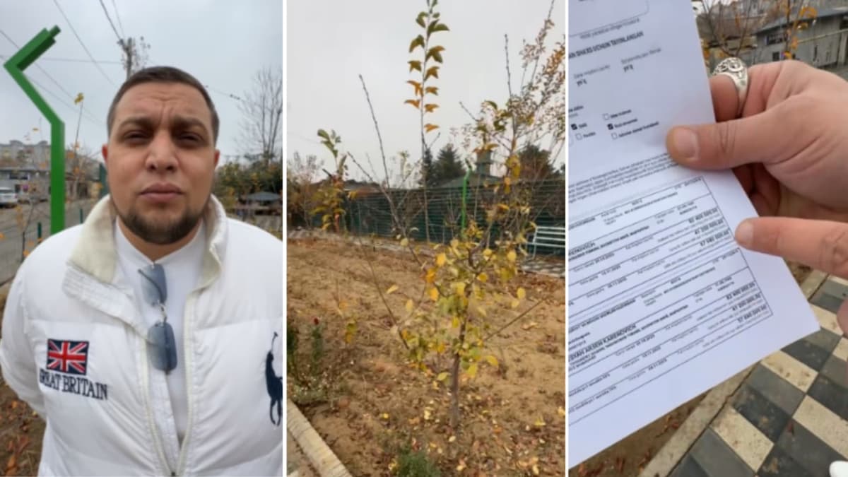 Tashkent man fined for landscaping vacant land; authorities comment