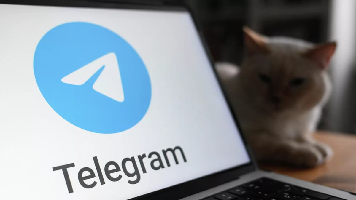 Rossiyada Telegram'da reklama joylashtirish noqonuniy deb ataldi