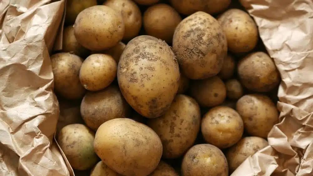 Минсельхоз объяснил резкое повышение цен на картофель