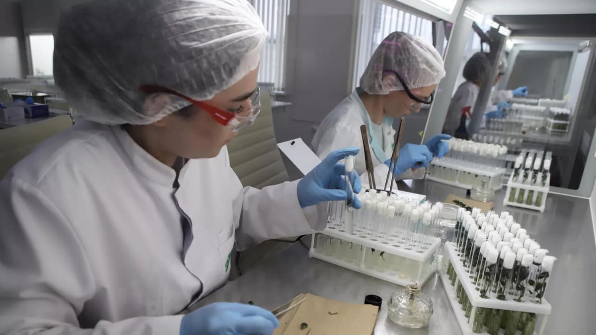 «Universitet – laboratoriya – korxona – vazirlik» ekotizimi joriy etiladi