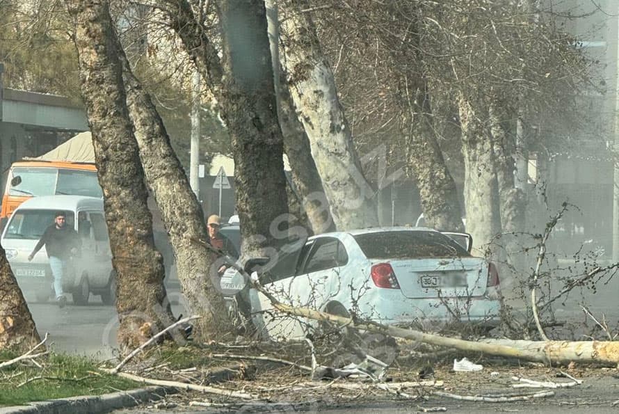 Toshkentda Lacetti daraxtga borib urildi