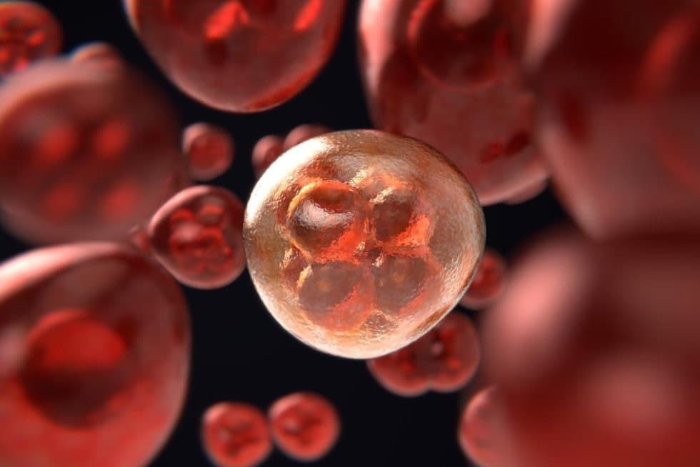 90 foizgacha o‘lim: insoniyatni qo‘rqitgan 10 virus